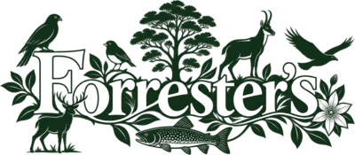 Forrester's